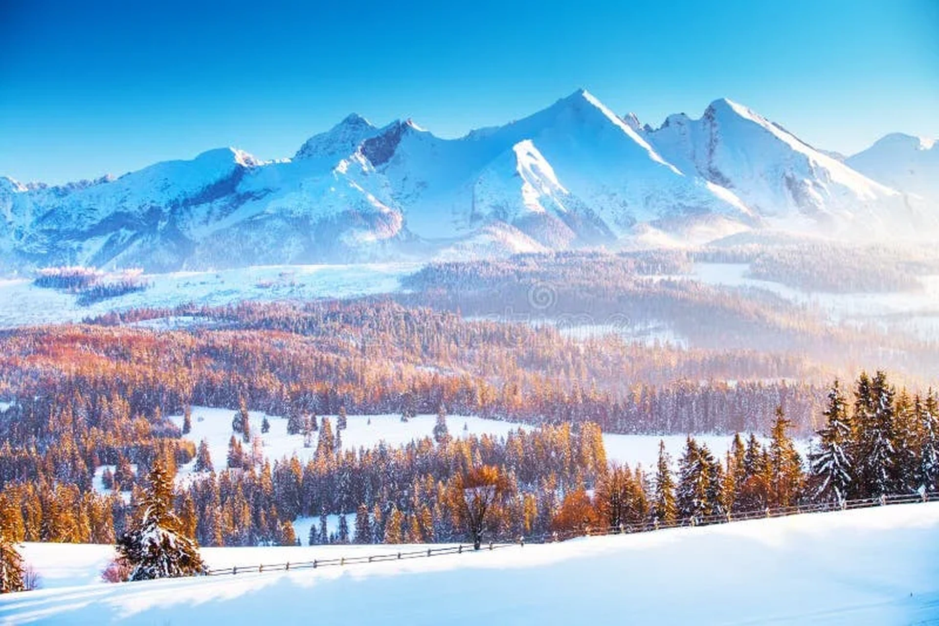 慕星棋牌推荐阿斯彭雪堆山冬季美景